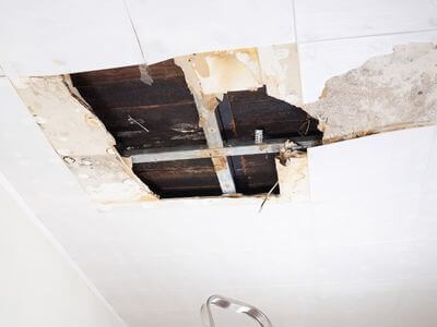 About water damage cleanup - ceiling water damage repair experts in Plymouth